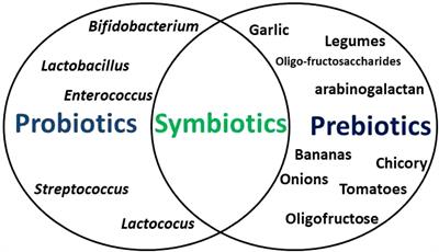 Gut microbiota-gonadal axis: the impact of gut microbiota on reproductive functions